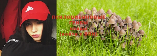 мдпв Сафоново