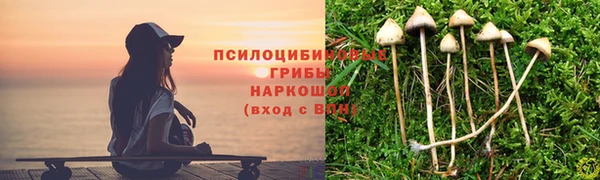мдпв Сафоново