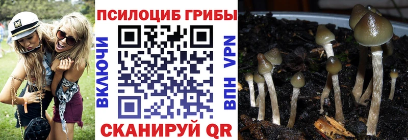 Псилоцибиновые грибы мухоморы  Купить  Чёрмоз 